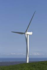 wind turbine making power