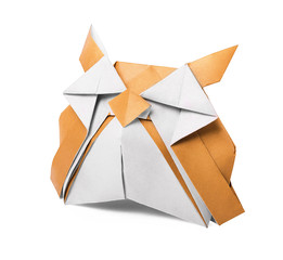 Obraz premium Origami old paper owl