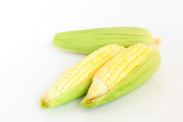 ear of Corn on a white background