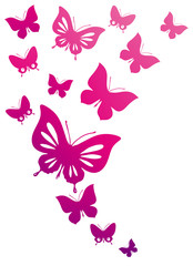 butterflies design