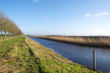 Fototapeta premium Canal through a rural landscape in winter