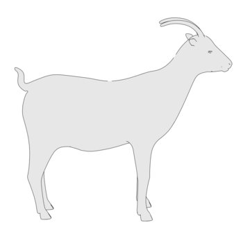 cartoon image of goat animal