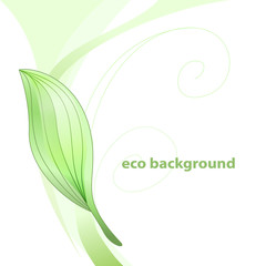 eco background 