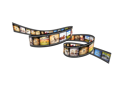 Fototapeta  photographic film with different African animals on each frame, nobody around, isolated on white. travel and safari concept.