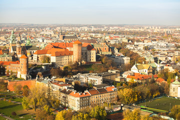 Fototapeta na wymiar Aerial view of Royal Wawel castle with park and Vistula river .