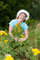 Middle-aged woman on a meadow with tansy