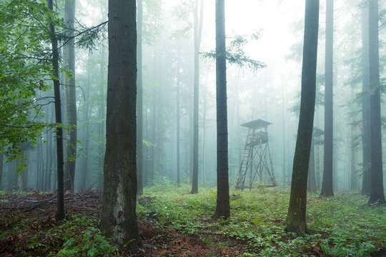 Fototapeta Hunting tower