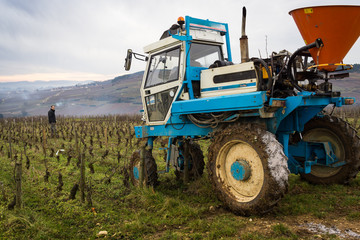Fototapeta premium entretien des vignes