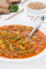 Spicy tomato soup with green lentils and vegetables, vertical