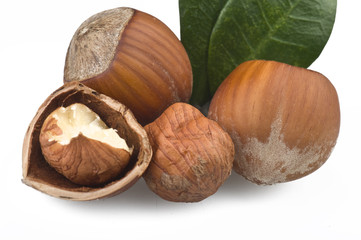 Hazelnuts group close up on the white