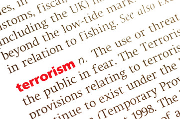 Dictionary definition of terrorism