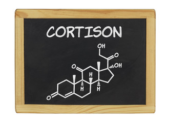 chemische Strukturformel von Cortison auf einer Schiefertafel