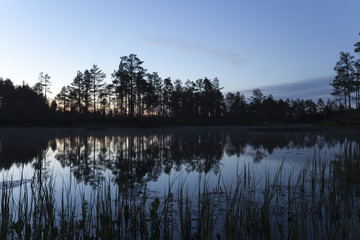 Obraz na płótnie Canvas Small pond nighttime, reed in the foreground