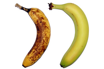 Alte und Neue Banane