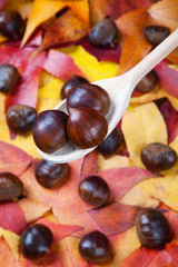 chestnuts