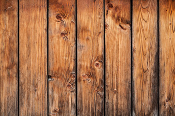 Fototapeta premium Wood Texture