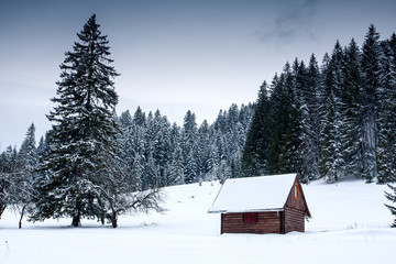 wooden house in forest at winter time