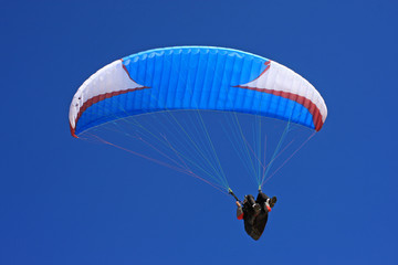 paraglider