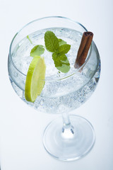 lemon and cinnamon gin tonic isolated over white