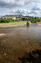 Carcassonne la cite medievale and pont vieux vertical view