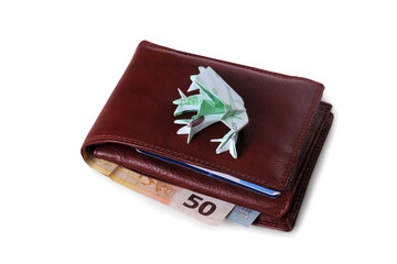 Wallet with Euro bills and hundreds of euros toad