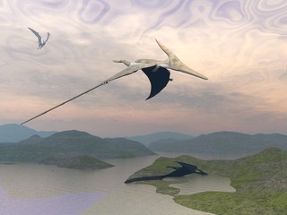 Pteranodon dinosaurs flying - 3D render © Elenarts