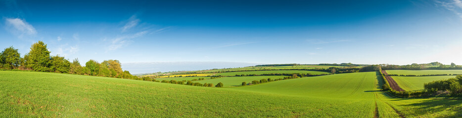 Idyllic rural landscape, Cotswolds UK - obrazy, fototapety, plakaty