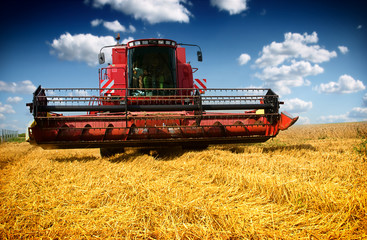 Combine harvester harvesting wheat on sunny summer day