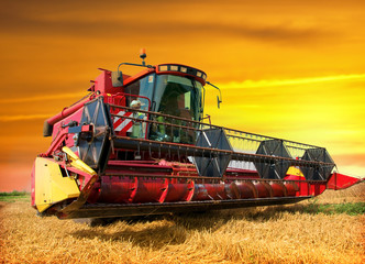Combine harvester harvesting wheat on sunny summer day