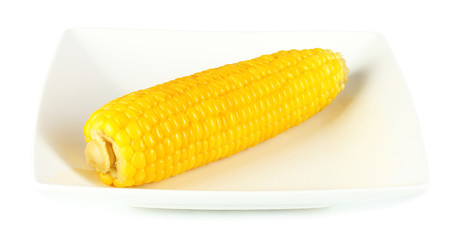 boiled corn isolated on white on the white plate