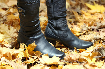Female legs on yellow leaves background in park