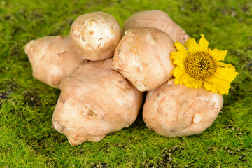 Topinambur roots on grass close-up