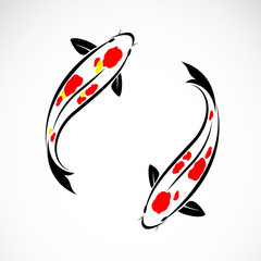 Fototapeta premium Vector image of an carp koi