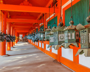 Bronze lanterns at Kasuga Taisha in Nara