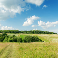 green landscape under clouds in blue sky