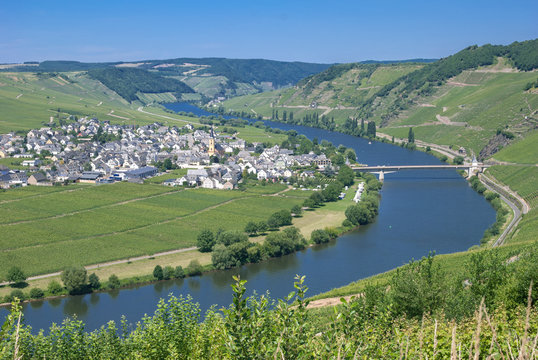 der beliebte Weinort Trittenheim an der Mittelmosel