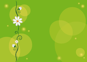 Hintergrund Gänseblümchen