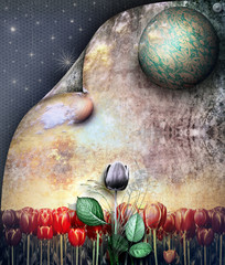 Vintage tulip in the dark © Rosario Rizzo