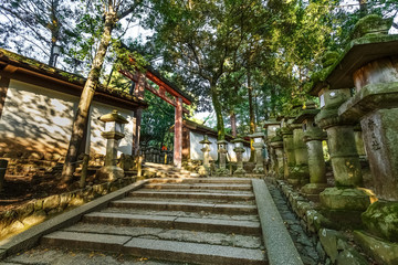 Stone lanterns at Kasuga Taisha in Nara