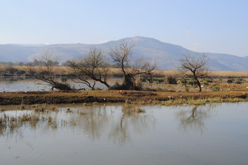 Lake Agamon in the Hula Valley, Israel