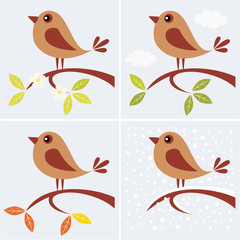 tree branch and cute bird in four seasons.