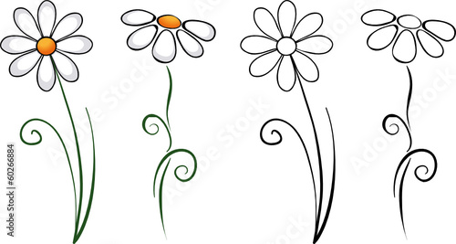 Vorlage Gänseblümchen