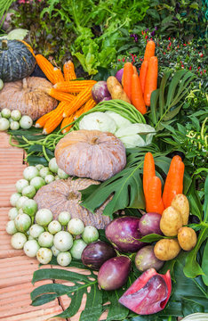 Fresh Vegetables in a Exhibition, Thailand.