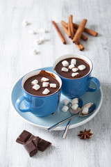 hot chocolate with mini marshmallows