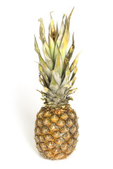 Fototapeta premium Pineapple