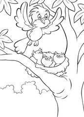 Birds