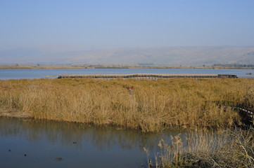 The Hula Valley, Israel