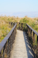 Wooden bridge in the Hula Valley, Israel