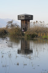 Wooden tower in the Hula Valley, Israel
