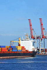 Container stack and ship under crane bridge